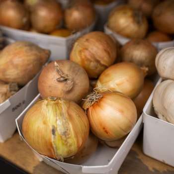 Cipolle e aglio fatti in casa nel negozio della fattoria Neufeldhof - prodotti di alta qualità dell'agricoltura del Liechtenstein.