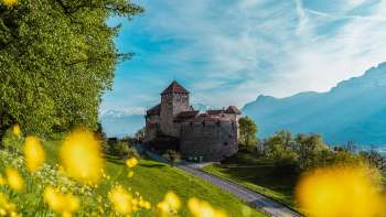 Il castello di Vaduz con i fiori gialli in primo piano in una soleggiata giornata di primavera
