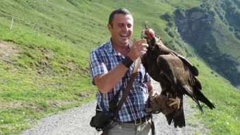Falconiere con il suo rapace sulle montagne del Liechtenstein