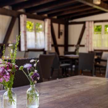 Accogliente terrazza con mobili in legno e graziose decorazioni floreali in vaso