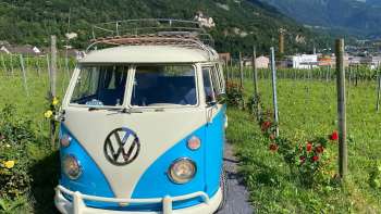 Autobus VW nostalgico su un sentiero tra i vigneti con vista sul castello di Vaduz