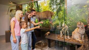 Una famiglia ammira la mostra di storia naturale al Museo Nazionale del Liechtenstein