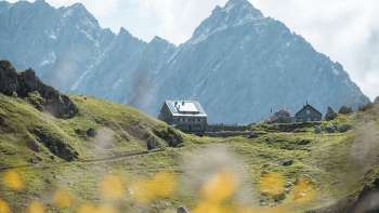rifugio Pfälzerhütte con paesaggio montano sullo sfondo e fiori in primo piano.