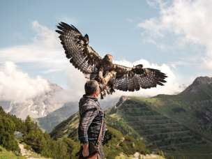 Il falconiere Norman Vögeli presenta un'imponente aquila reale sullo sfondo di una montagna alpina: un impressionante spettacolo naturale ad altezze elevate.