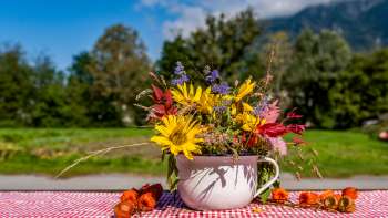 Bouquet di fiori colorati in una tazza nostalgica al Neufeldhof in Liechtenstein - un idillio regionale con vista sulle Alpi.