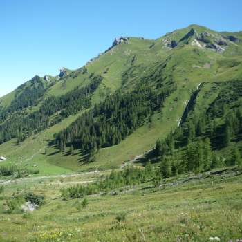 Verdi prati alpini e pendii boscosi intorno all'Alp Lawena in Liechtenstein in una limpida giornata estiva, con vista sulle montagne circostanti.