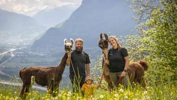 Escursione con lama e alpaca nelle montagne del Liechtenstein Escursione con lama e alpaca nelle montagne del Liechtenstein