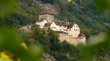 Vista del castello di Vaduz attraverso una chioma verde di foglie, immerso nel paesaggio collinare e boscoso del Liechtenstein.