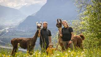 Famiglia con bambino e due lama in un impressionante scenario alpino durante un'escursione con lama e alpaca nel Liechtenstein.