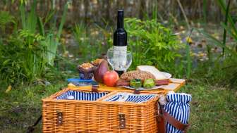 Cestino da picnic con specialità regionali, pane fresco, frutta e vino, disposti con cura in un prato immerso nella natura.