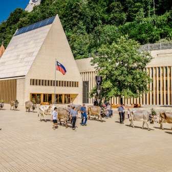 Mucche addobbate a festa durante la tradizionale cavalcata alpina attraverso il quartiere governativo di Vaduz, con il palazzo del Parlamento e la bandiera del Liechtenstein