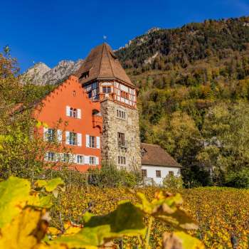La Casa Rossa a Vaduz, circondata da vigneti autunnali sul pendio
