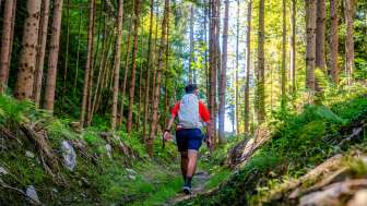 Escursionisti su uno stretto sentiero attraverso una rada foresta di conifere nel Liechtenstein, circondati da vegetazione verde e luce solare