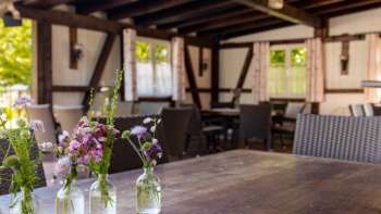 Accogliente terrazza con mobili in legno e graziose decorazioni floreali in vaso