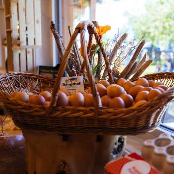 Grande cesto di vimini con uova fresche di allevamento all'aperto nel negozio della fattoria Bangshof - qualità regionale direttamente dalla fattoria.