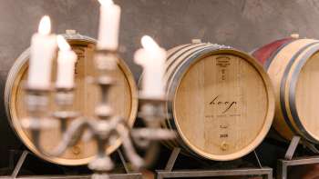 Atmosfera nella cantina dell'azienda vinicola Hoop con botti barrique etichettate e lume di candela.