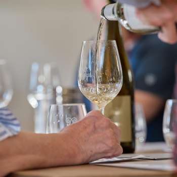 Un bicchiere di vino bianco viene versato durante una degustazione guidata.
