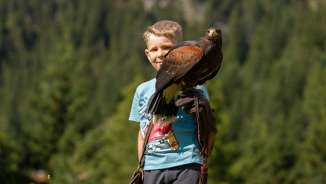 Aquila seduta sulla mano di un ragazzo
