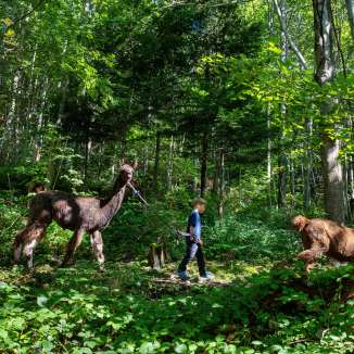Un bambino conduce un lama lungo un sentiero nella foresta attraverso la macchia verde durante il trekking con lama e alpaca