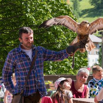 Un falconiere presenta un uccello da preda, bambini e adulti guardano entusiasti.