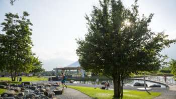 Sentiero soleggiato con alberi ombrosi e vista sull'acqua