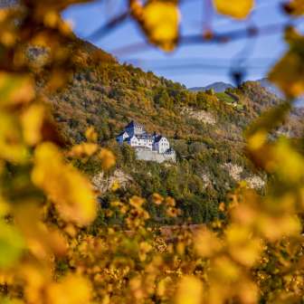 Vista del castello di Vaduz nel Liechtenstein in autunno, incorniciato da foglie giallo oro e da uno sfondo naturale autunnale.