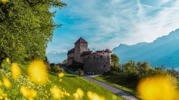 Il castello di Vaduz con i fiori gialli in primo piano in una soleggiata giornata di primavera Il castello di Vaduz con i fiori gialli in primo piano in una soleggiata giornata di primavera