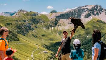 Una famiglia osserva il falconiere con l'uccello rapace