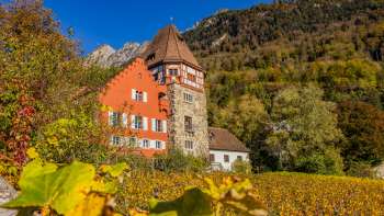 La Casa Rossa di Vaduz circondata da viti autunnali sul pendio della collina.