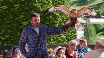 Un falconiere presenta un uccello da preda, bambini e adulti guardano entusiasti.