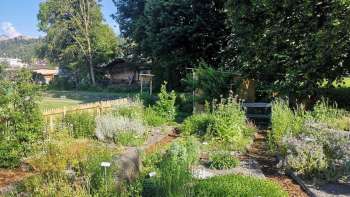 guardate il giardino delle erbe di Mauren con aiuole etichettate, erbe fiorite e sentieri ben curati in un ambiente estivo.