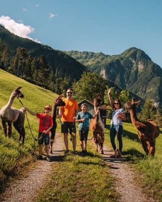 Servizio fotografico di famiglia con lama e alpaca in estate Malbun