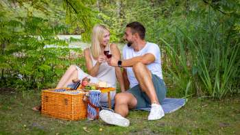 Una coppia si gode un picnic romantico in campagna con specialità regionali