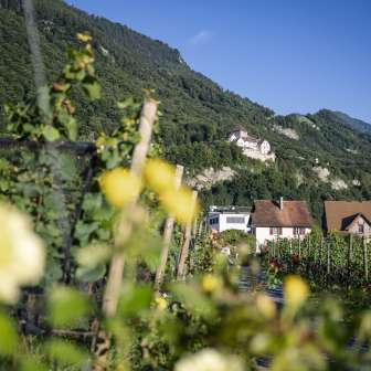 Castello di Vaduz – Estate