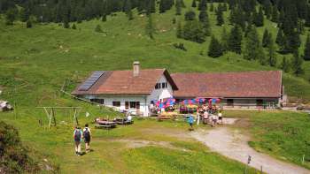 Vista sull'Alp Guschg Immerso nel verde dei prati e dei boschi nel Wintergrund Vista sull'Alp Guschg Immerso nel verde dei prati e dei boschi nel Wintergrund