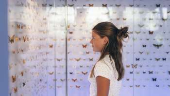 Museo nazionale del Liechtenstein