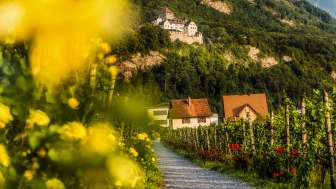 Il castello di Vaduz dal vigneto - paesaggio culturale e regione di piacere del Liechtenstein Vista del castello di Vaduz dal sentiero del vino attraverso i vigneti con fiori, viti e case nel Liechtenstein