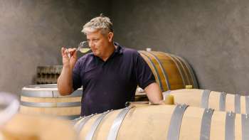 Il viticoltore assaggia il vino direttamente dalla botte in cantina