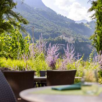Vista sul castello di Vaduz