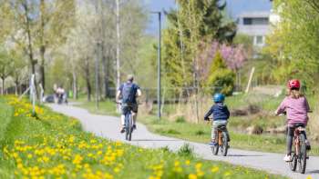 Pedalare in famiglia sulla pista ciclabile di primavera nel Parco Naturale di Haberfeld, circondati da prati e alberi in fiore.