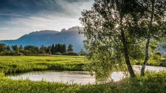 Atmosfera serale sulla riserva naturale Ruggeller Riet con il corso del fiume, gli alberi e la vista delle montagne sullo sfondo.