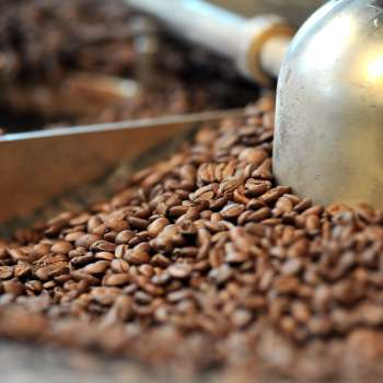 Primo piano della tostatura del caffè nella torrefazione Demmel