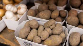 Patate fresche di produzione propria nel negozio del maso Neufeldhof - regionali e naturali.