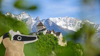 Percorso dei detective: caccia al tesoro a Vaduz con vista sul Castello di Vaduz e sulle Montagne Bianche