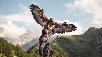  Il falconiere presenta una maestosa aquila