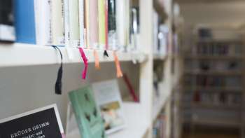 Vista della Literaturhaus Liechtenstein con particolare attenzione ai libri su uno scaffale chiaro