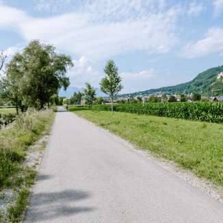 Sentiero asfaltato tra campi e alberi con vista sulle montagne - Auweg nel Liechtenstein in estate