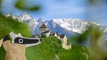 Percorso dei detective: caccia al tesoro a Vaduz con vista sul Castello di Vaduz e sulle Montagne Bianche