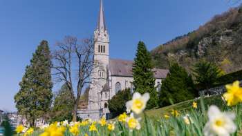 Prato fiorito davanti alla Cattedrale di San Florin a Vaduz: un'atmosfera primaverile di grande effetto nel Liechtenstein.