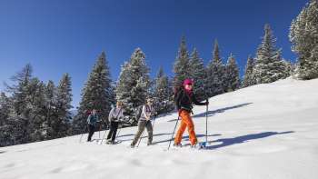 Gruppo di escursionisti con le racchette da neve durante un corso di prova in un paesaggio invernale innevato sotto un cielo azzurro a Malbun